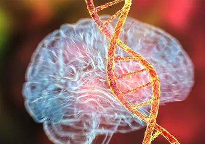 Illustration of a glowing orange DNA double helix with a blurry blue brain in the background.